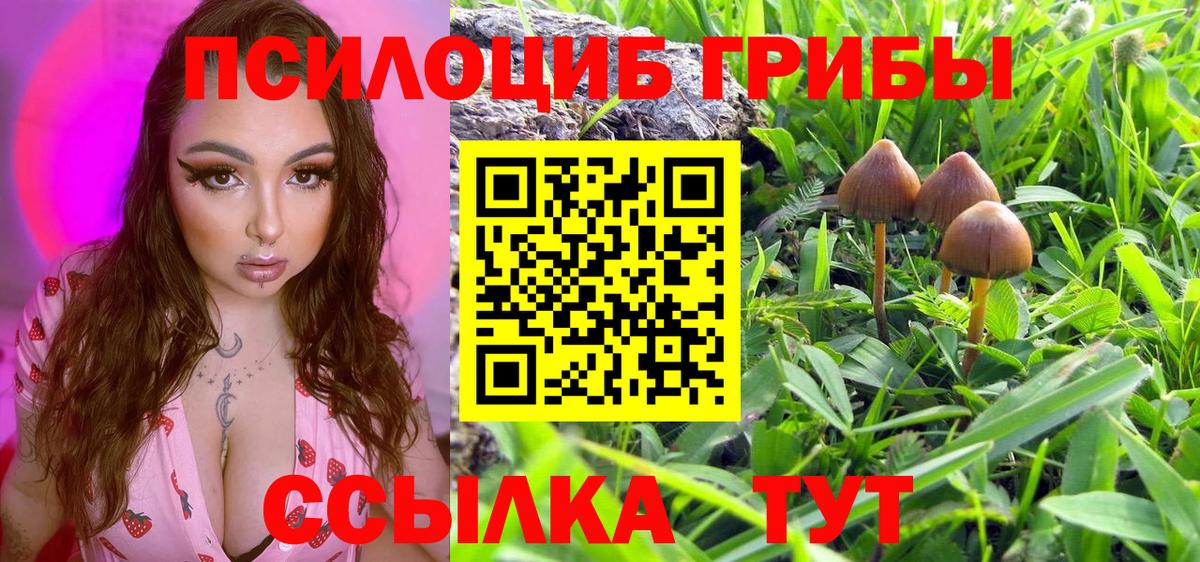 Галлюциногенные грибы Psilocybe  Вход с VPN  Галлюциногенные грибы MAGIC MUSHROOMS  Серов 