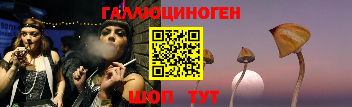 Галлюциногенные грибы Psilocybe Серов